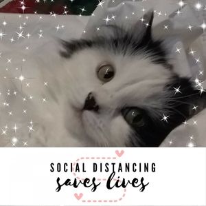 Meet your Posher, Dorothy